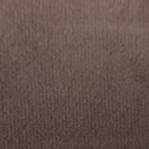 CORAL - 04