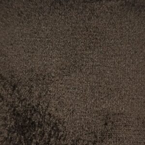 CORAL - 03